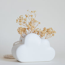 Cloud Hanging Planter