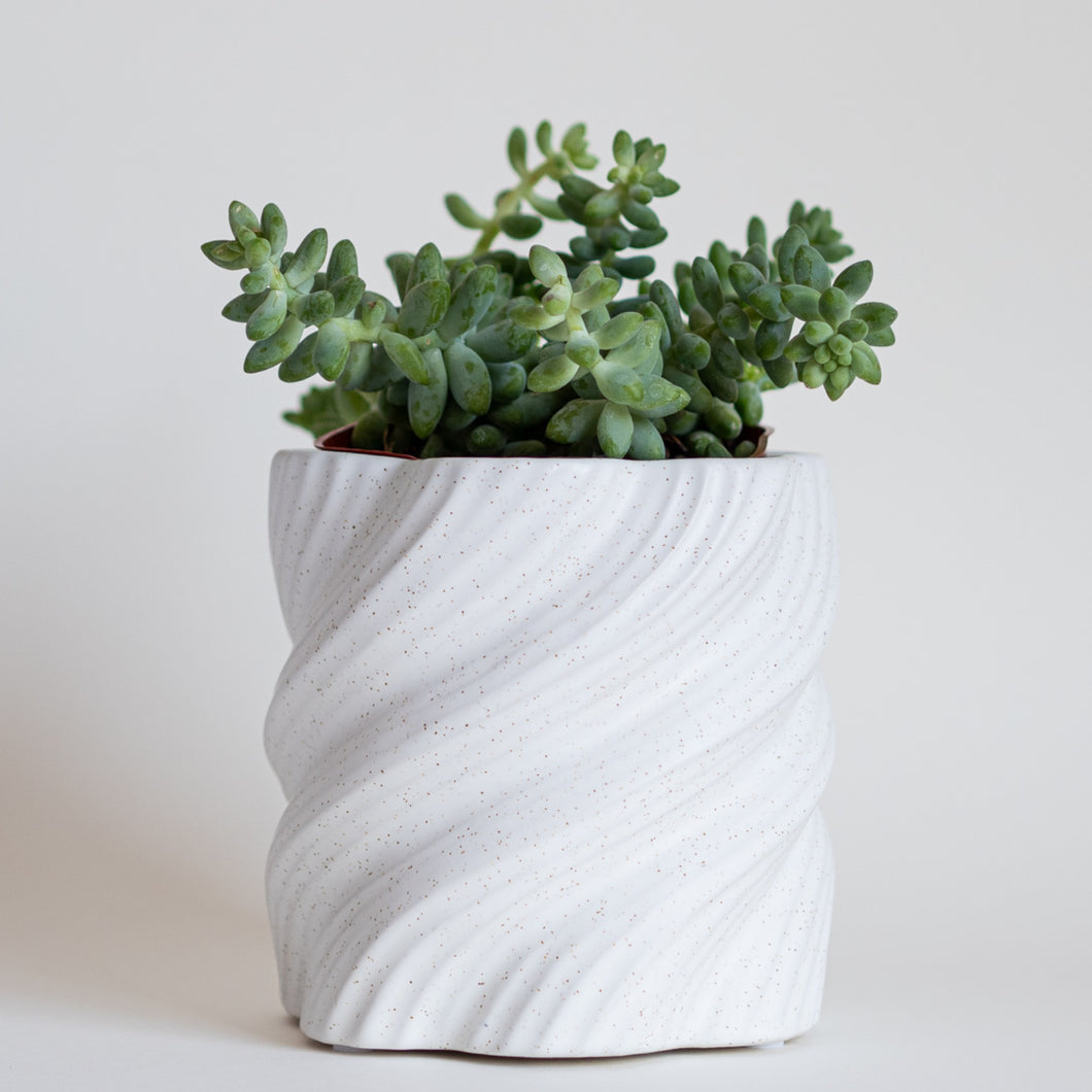 Spiral Distinctive Organic Planter Pot