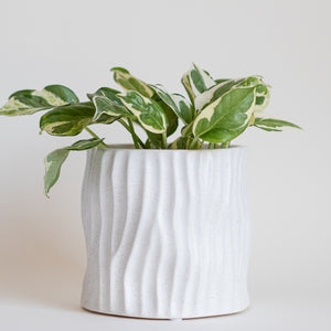 Wavy Planter Speckled Matte White