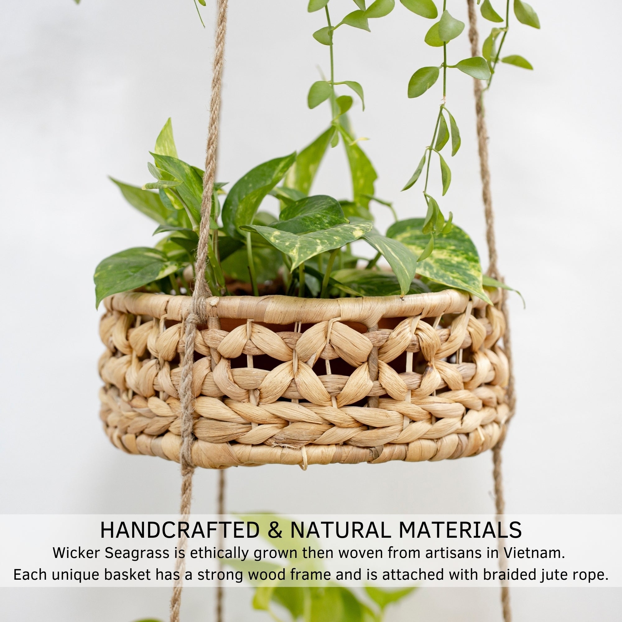 plants that hang down from shelf 3 Tier Hanging Woven Basket – BASE ROOTS