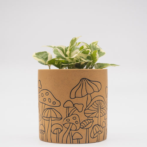 Mushroom Planter - Speckled Terracotta