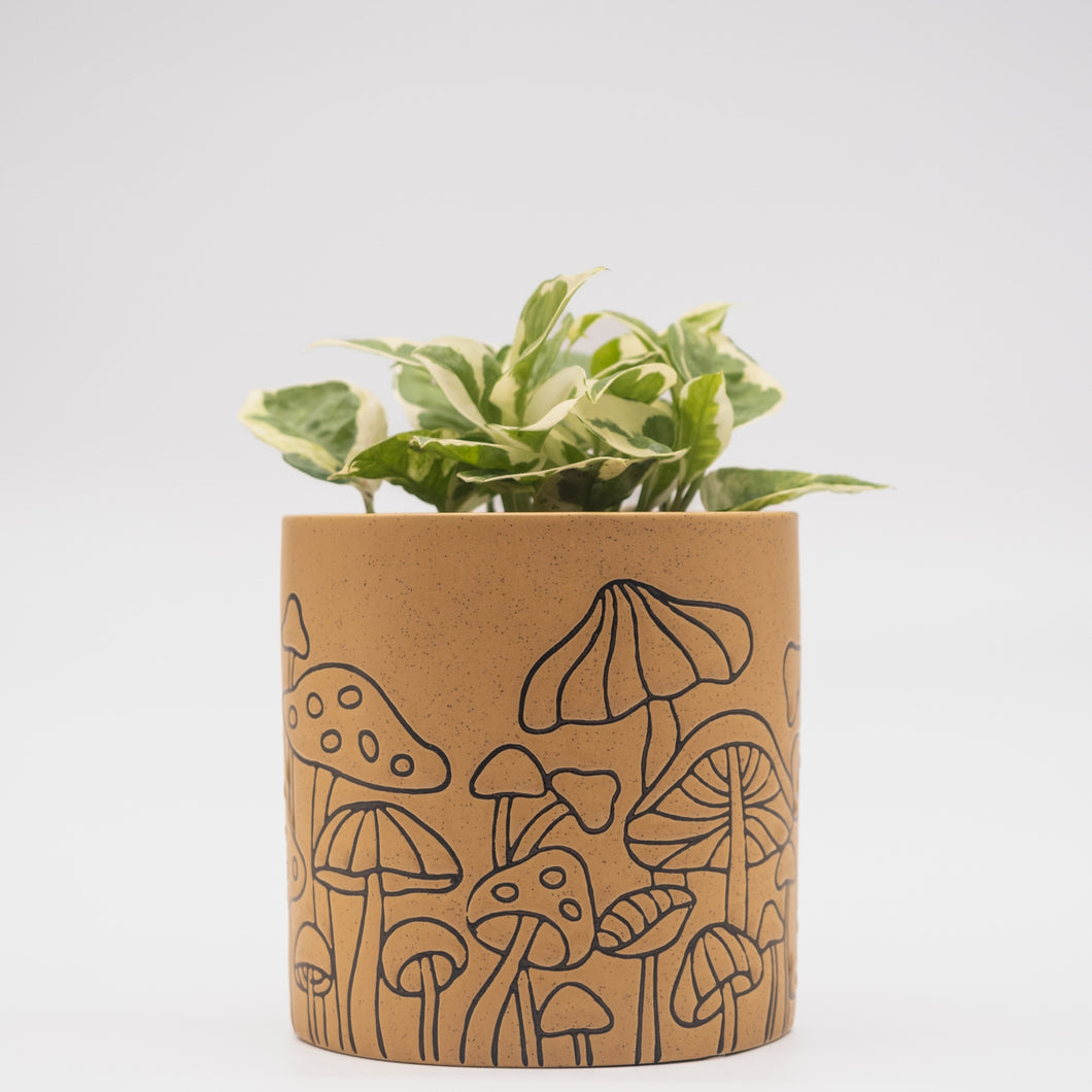 Mushroom Planter - Speckled Terracotta