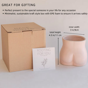 Body Vase - Bottom (Blush Pink)