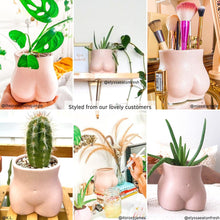 Body Vase - Bottom (Blush Pink)